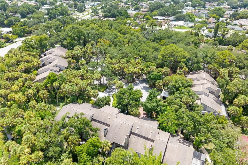For Sale: $375,000 (3 beds, 3 baths, 1923 Square Feet)