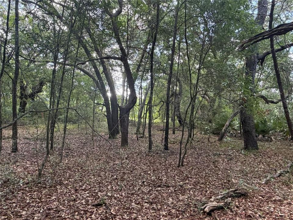 待售: $189,000 (1.86 acres)