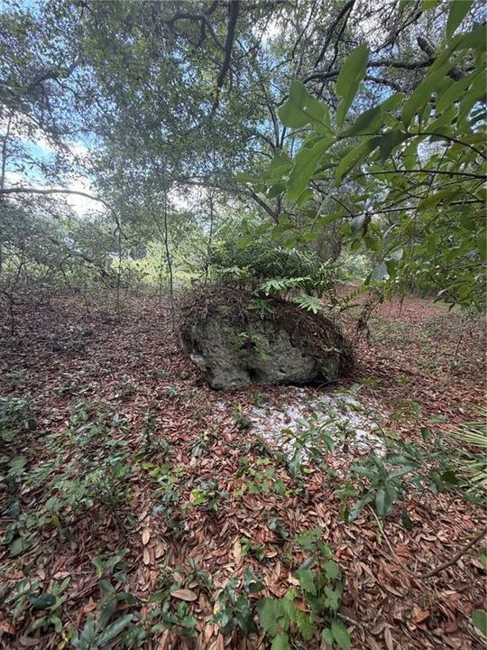 待售: $189,000 (1.86 acres)