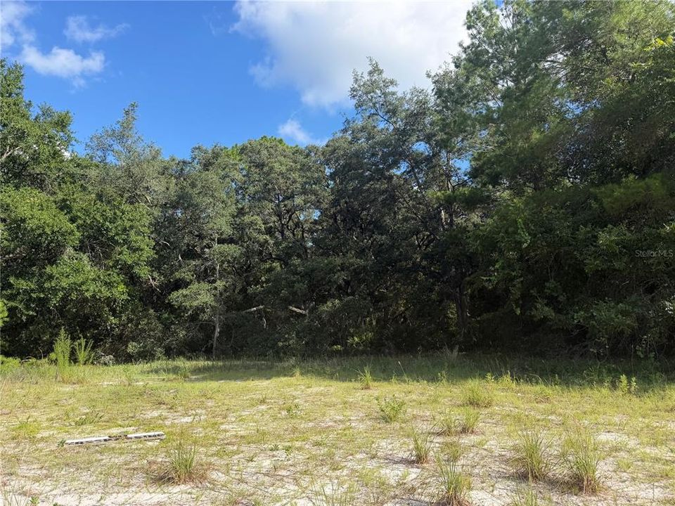 待售: $189,000 (1.86 acres)