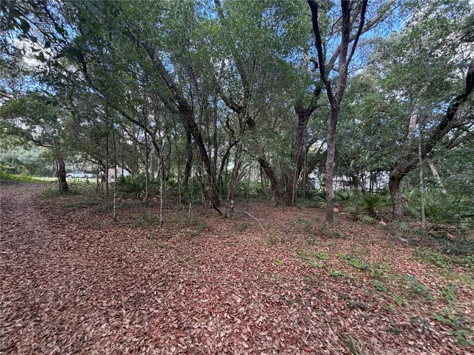 待售: $189,000 (1.86 acres)