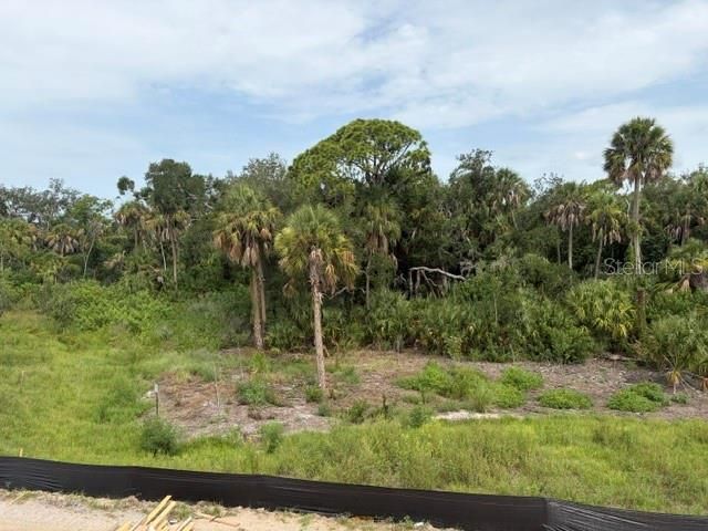 For Sale: $749,885 (5 beds, 4 baths, 3545 Square Feet)