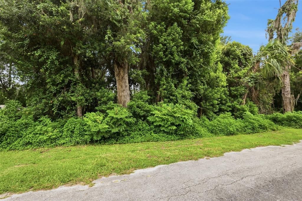 待售: $299,000 (1.45 acres)