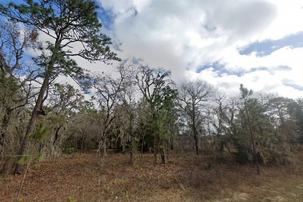 For Sale: $32,000 (0.53 acres)