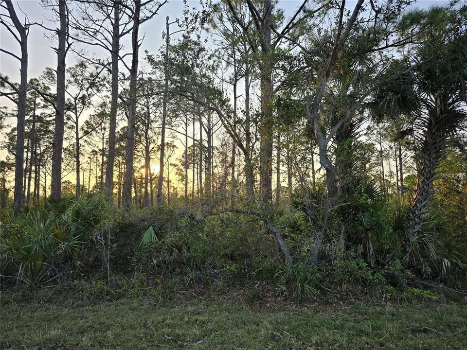 На продажу: $19,000 (0.24 acres)