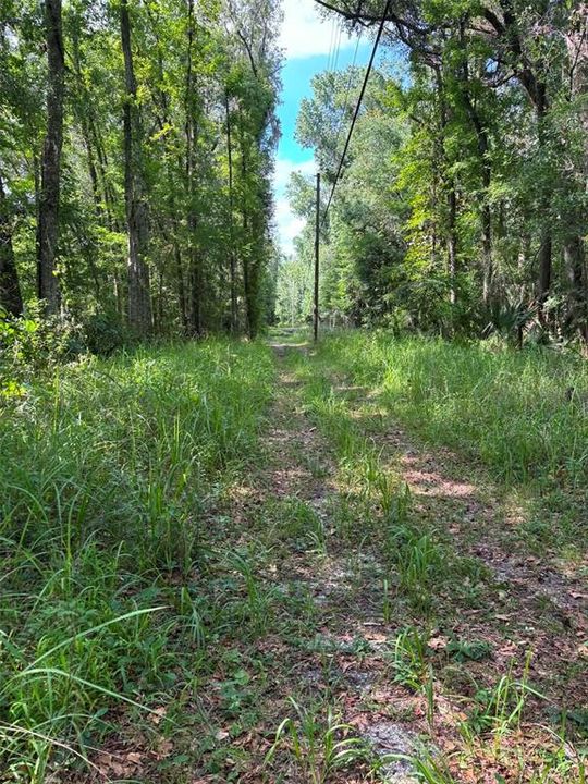 For Sale: $18,500 (0.34 acres)