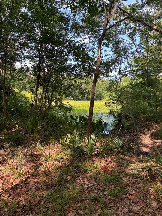 For Sale: $18,500 (0.34 acres)