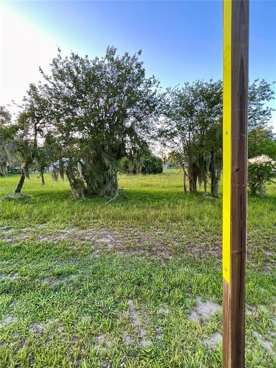 For Sale: $81,500 (0.49 acres)