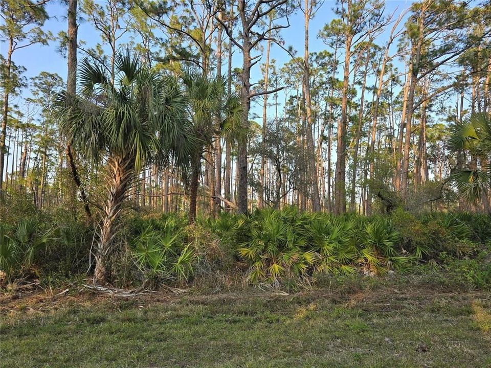 На продажу: $16,000 (0.23 acres)