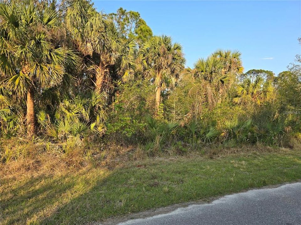 En Venta: $18,000 (0.23 acres)
