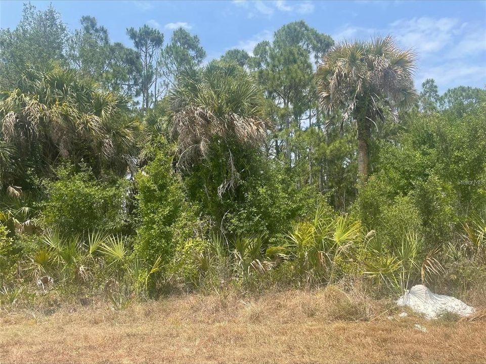 En Venta: $18,000 (0.23 acres)