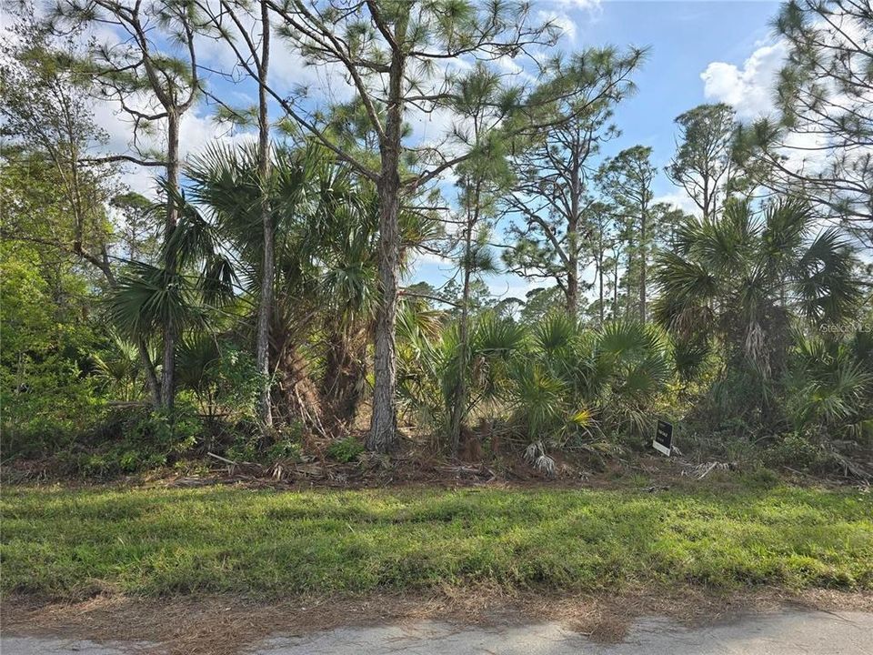 For Sale: $18,000 (0.23 acres)