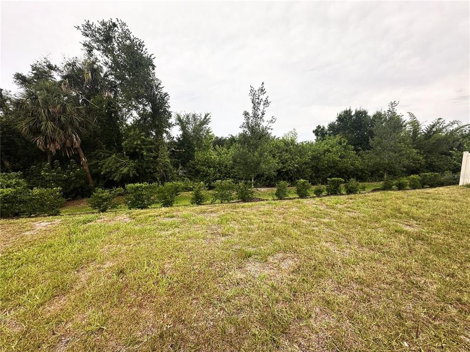 For Sale: $295,000 (4 beds, 2 baths, 1806 Square Feet)