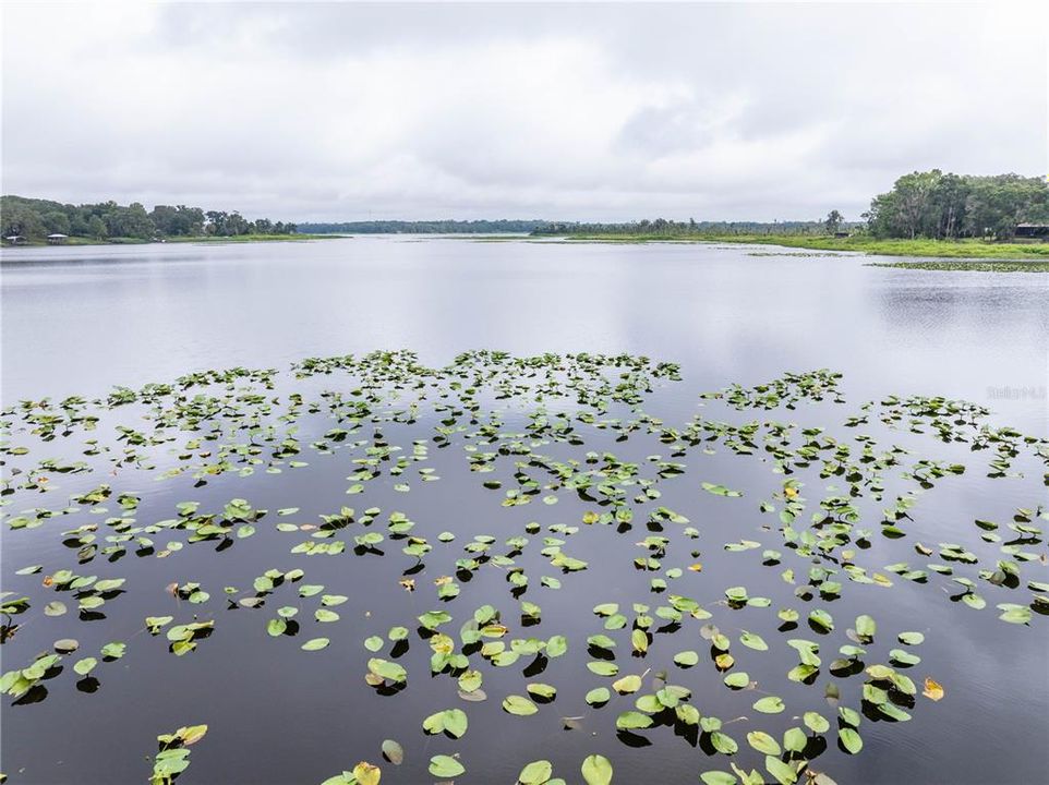 На продажу: $105,000 (1.00 acres)