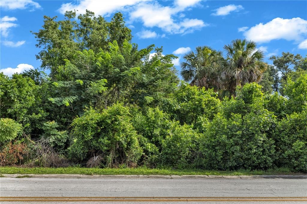 For Sale: $47,900 (0.31 acres)