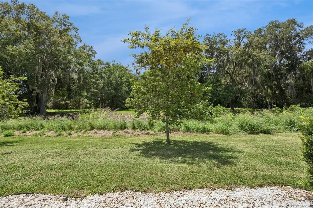 For Sale: $300,000 (3 beds, 2 baths, 1457 Square Feet)
