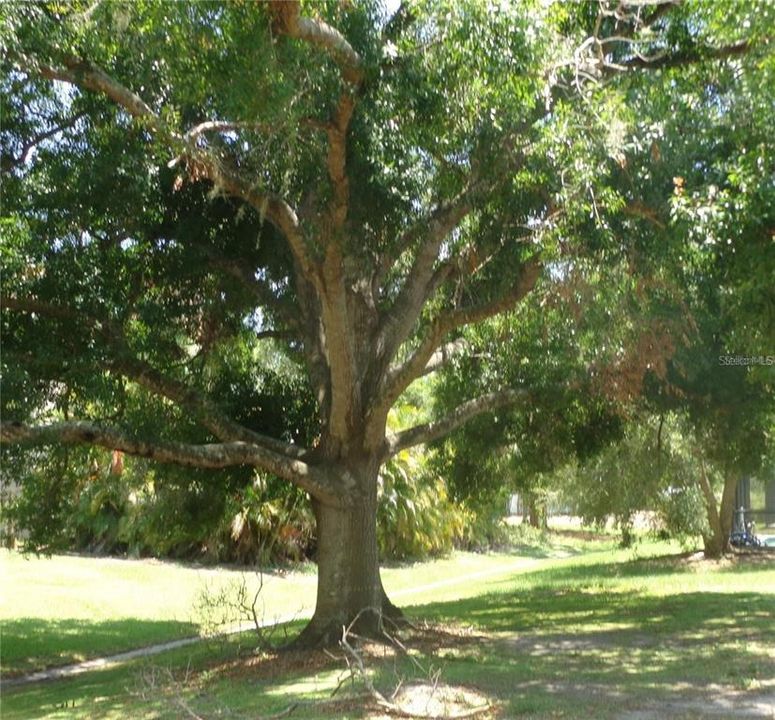 En Venta: $399,900 (3 camas, 2 baños, 1533 Pies cuadrados)