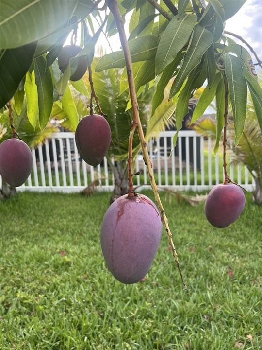 На продажу: $550,000 (5 спален, 3 ванн, 3232 Квадратных фут)