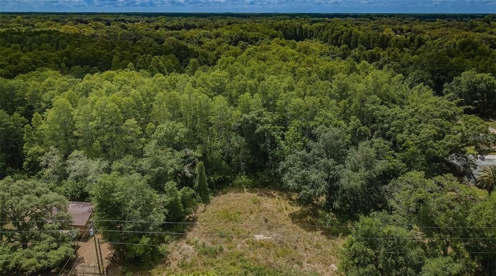 На продажу: $129,000 (1.55 acres)