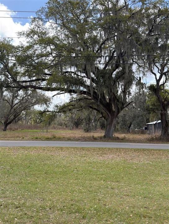 待售: $55,000 (0.44 acres)