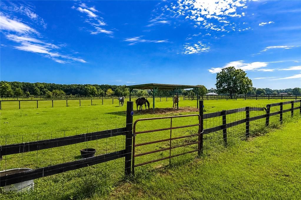 For Sale: $1,850,000 (4 beds, 4 baths, 3489 Square Feet)