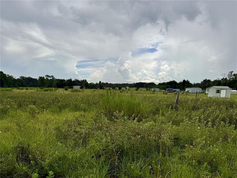For Sale: $35,000 (1.25 acres)