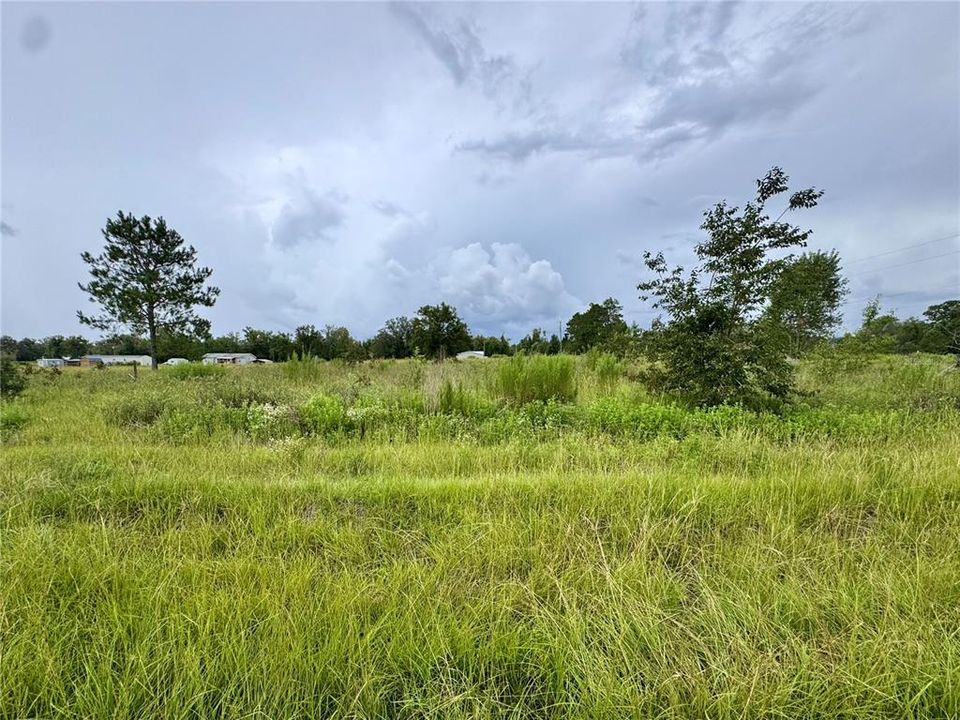 For Sale: $35,000 (1.25 acres)
