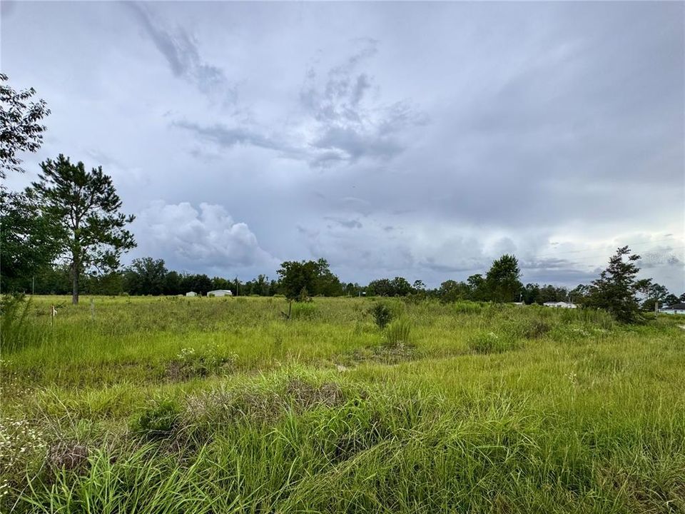 For Sale: $35,000 (1.25 acres)