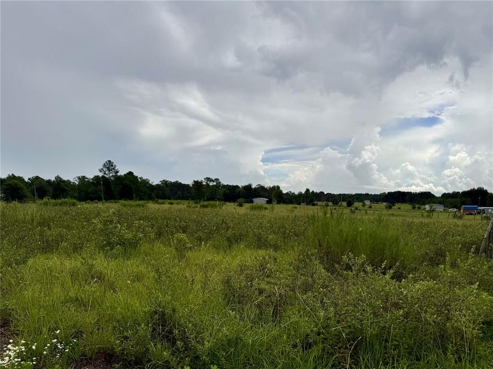 For Sale: $35,000 (1.25 acres)