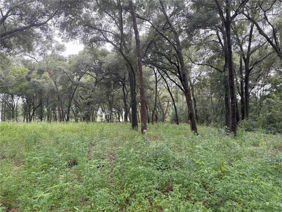 На продажу: $249,000 (6.50 acres)