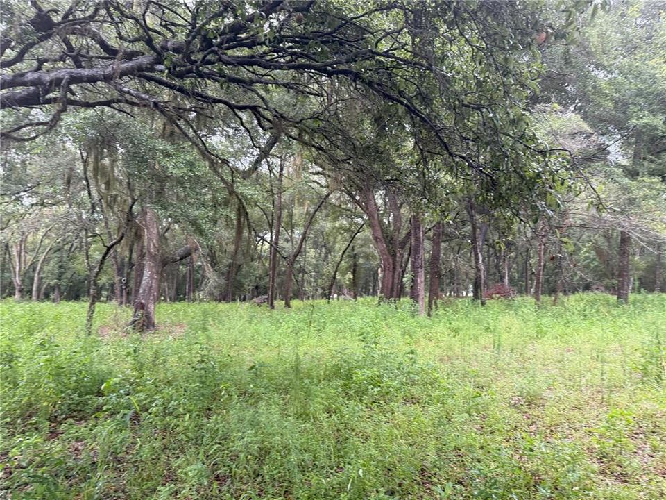 На продажу: $249,000 (6.50 acres)