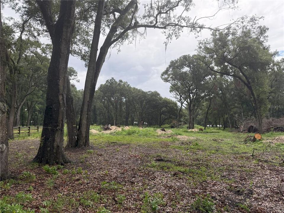 На продажу: $249,000 (6.50 acres)