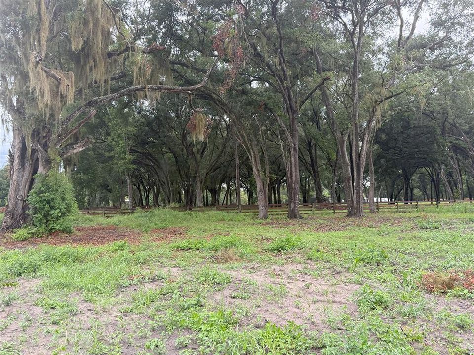 На продажу: $249,000 (6.50 acres)
