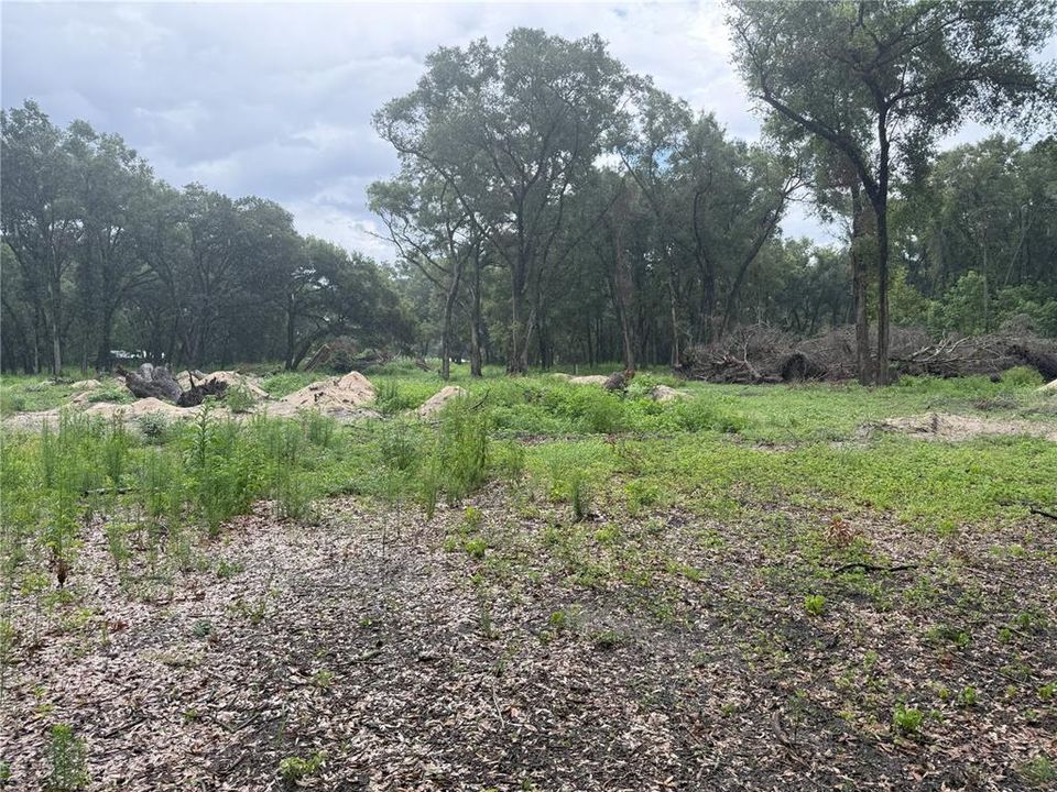 На продажу: $249,000 (6.50 acres)