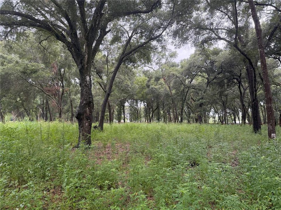 На продажу: $249,000 (6.50 acres)