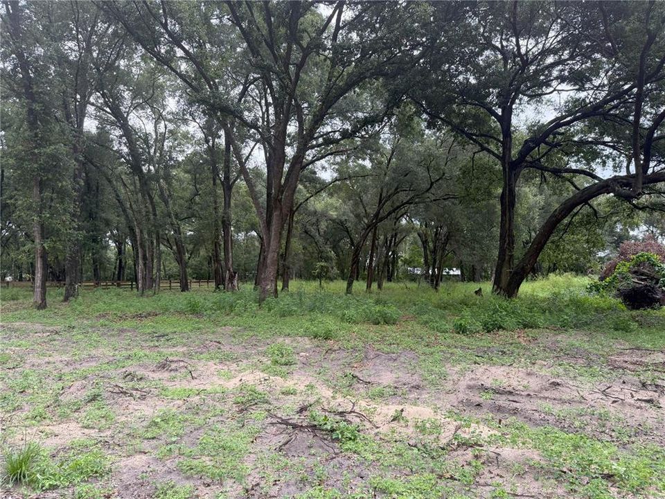 На продажу: $249,000 (6.50 acres)