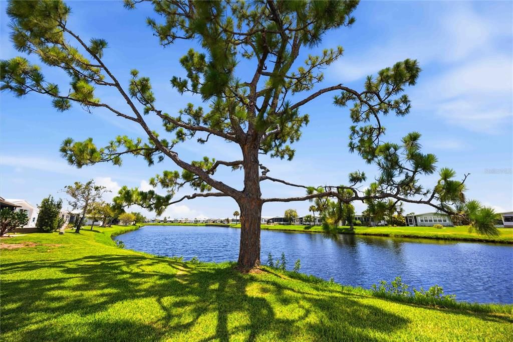 En Venta: $274,900 (3 camas, 2 baños, 1104 Pies cuadrados)