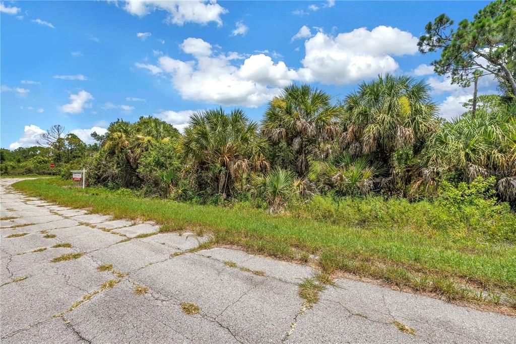 En Venta: $25,000 (0.30 acres)