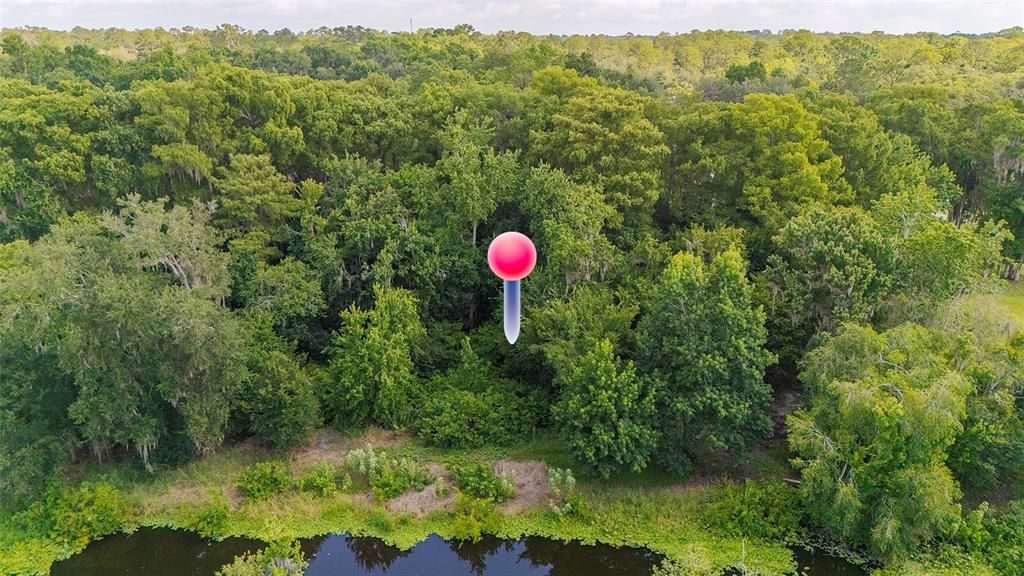 На продажу: $175,000 (1.18 acres)
