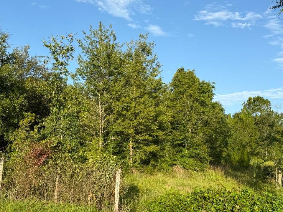待售: $375,000 (19.27 acres)