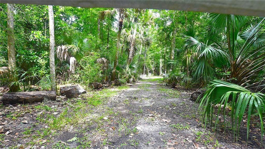 For Sale: $239,000 (5.00 acres)
