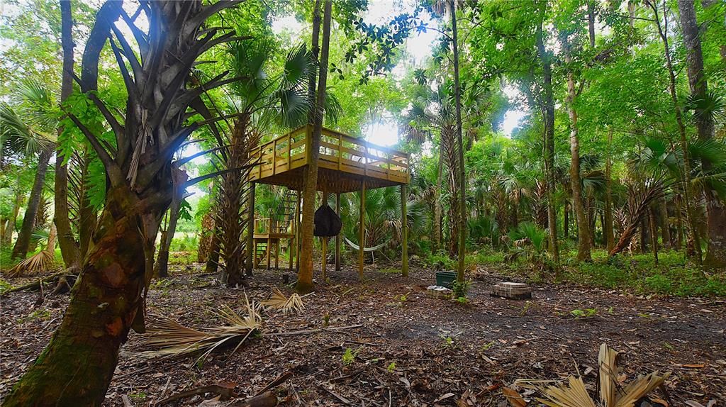 For Sale: $239,000 (5.00 acres)