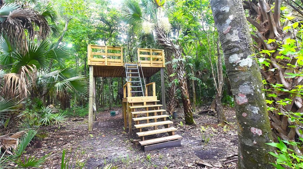 For Sale: $239,000 (5.00 acres)