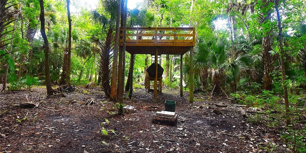 For Sale: $239,000 (5.00 acres)