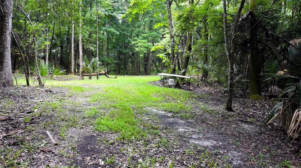 For Sale: $239,000 (5.00 acres)