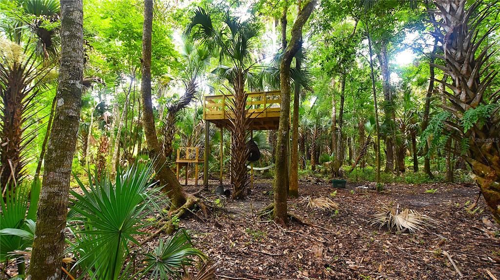 For Sale: $239,000 (5.00 acres)