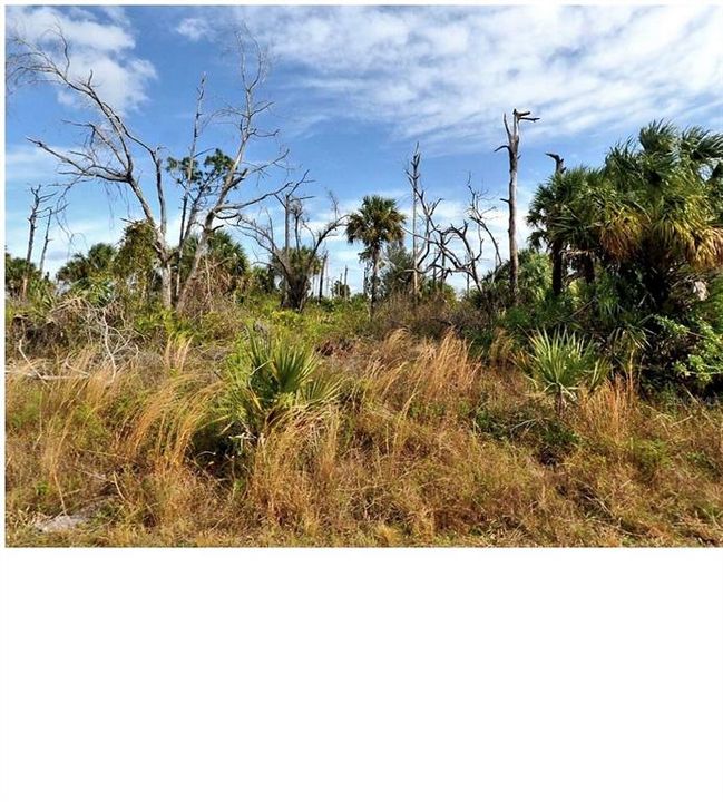 待售: $19,000 (0.23 acres)