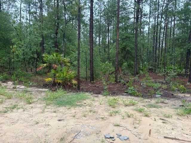 На продажу: $464,550 (4 спален, 3 ванн, 2508 Квадратных фут)