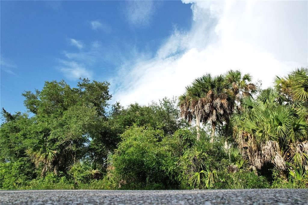 На продажу: $23,000 (0.23 acres)