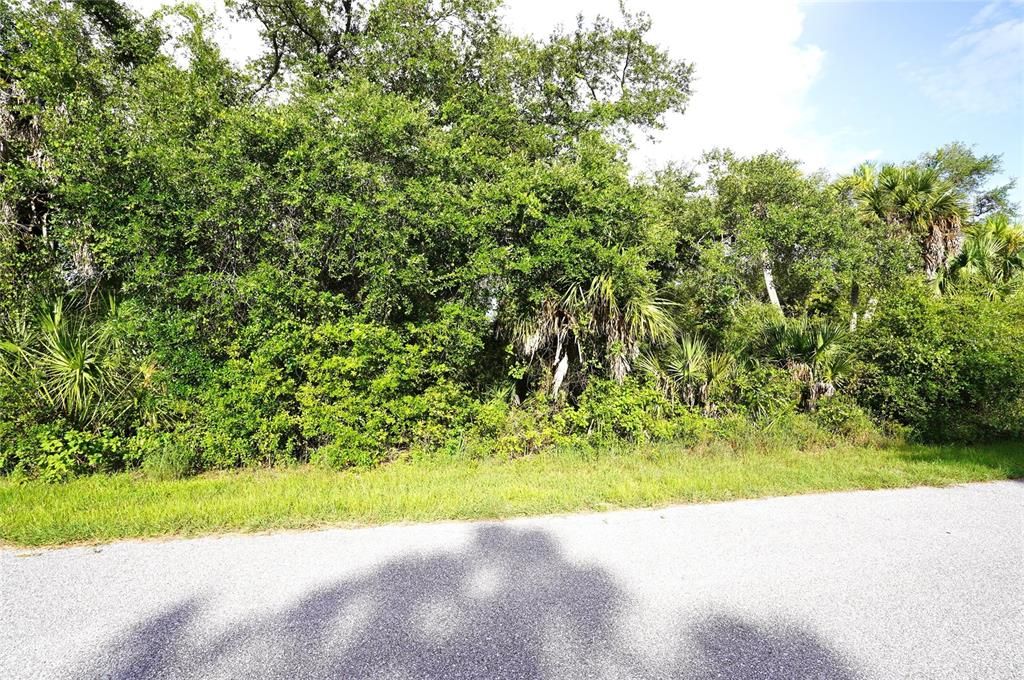 На продажу: $23,000 (0.23 acres)